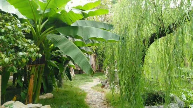 Suzhou Taoyuan International Holiday Hotel Εξωτερικό φωτογραφία
